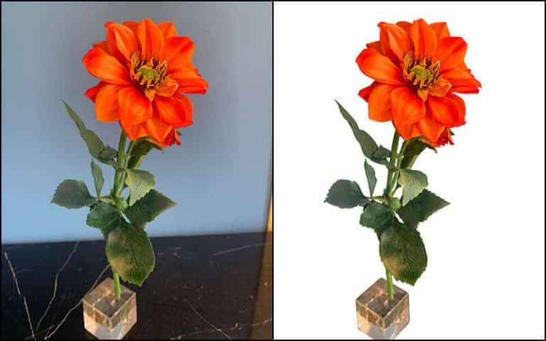 clipping path creative